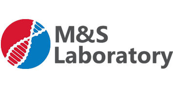 M&S Lab