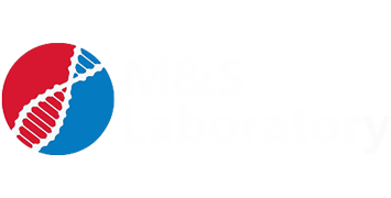 M&S Lab
